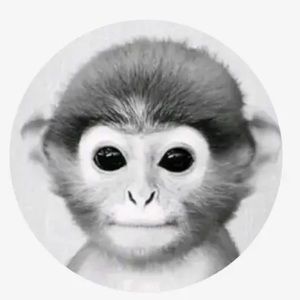 Meet your Posher, Evan